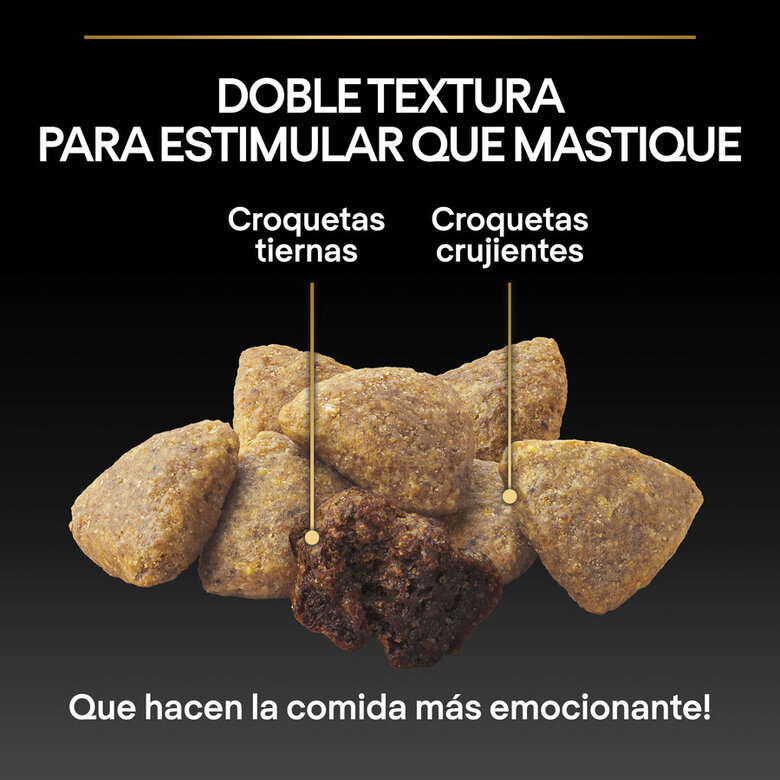 Pro Plan Small & Mini Adult Duo Délice Pollo pienso para perros image number null